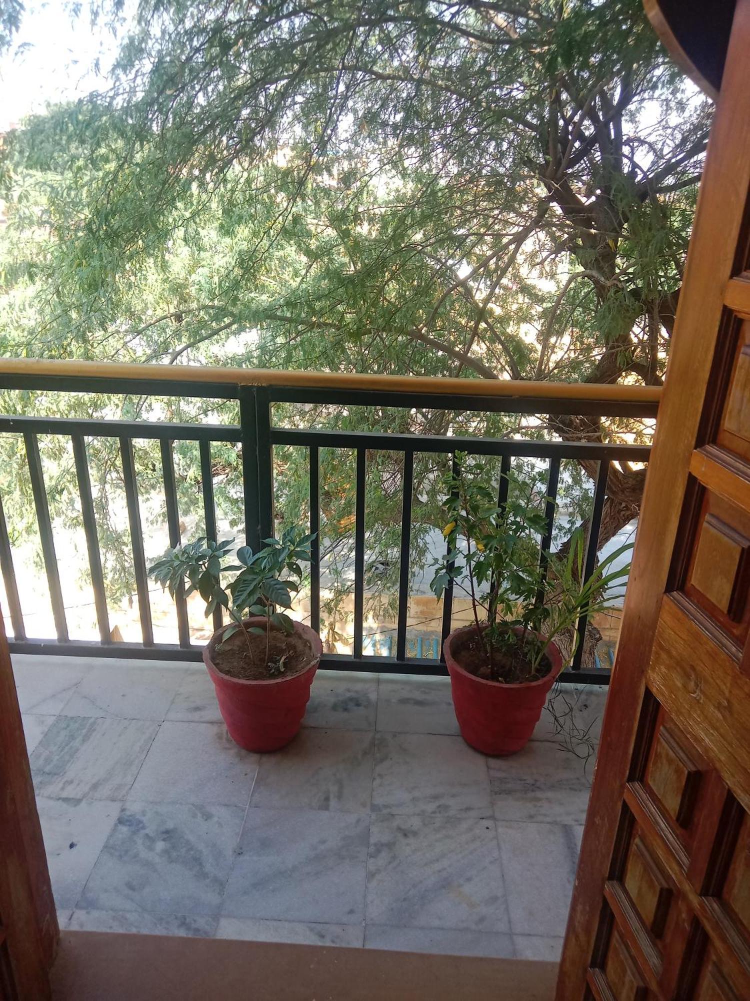 Hotel Neem Haveli Jaisalmer Extérieur photo